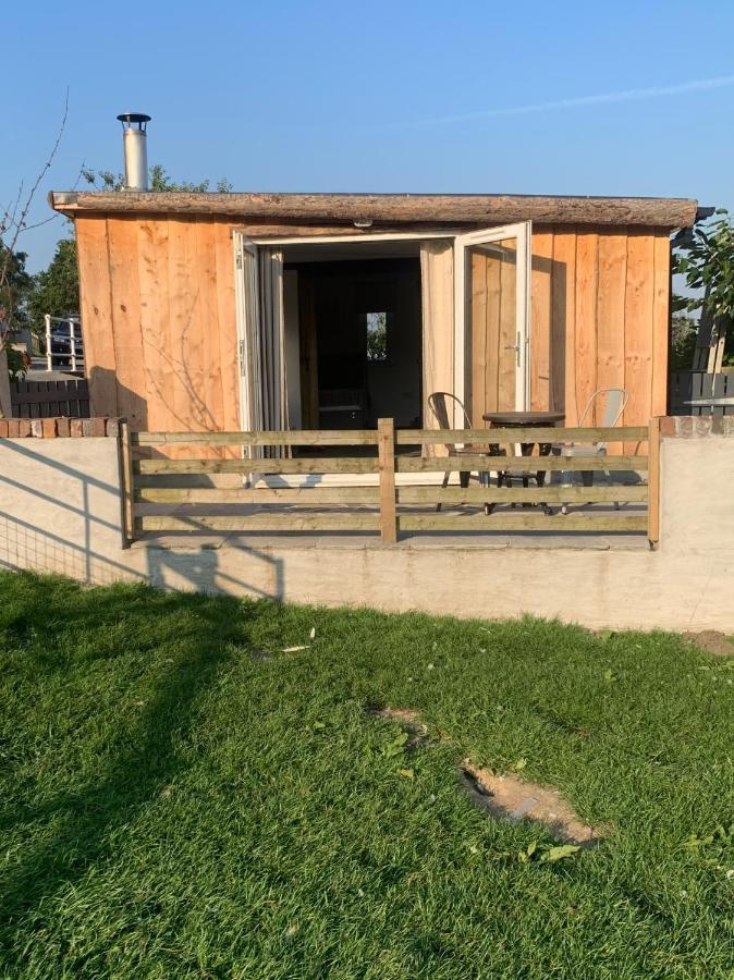 Molehill Lodge Swansea Luaran gambar